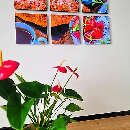 Διαμέρισμα Nissalabella